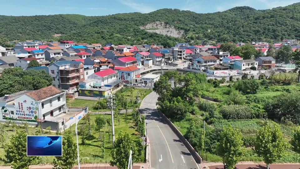 非凡“十四五” 遇见新黄石·乡镇新气象 | 新港园区海口湖管理区：乡村焕颜展新貌 产业强基助振兴