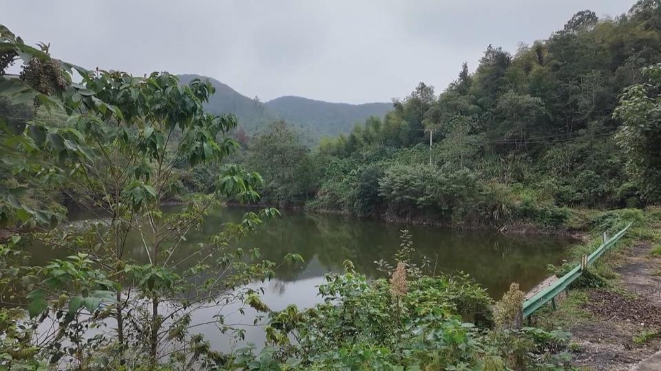 【新聞直通車】海拔150米的“渴望”！大冶茗山最高的村通自來水了