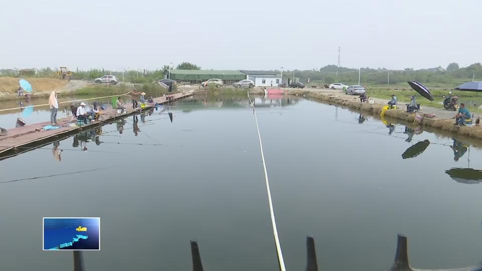 開(kāi)發(fā)區(qū)·鐵山區(qū)王貴村：集體經(jīng)濟(jì)解鎖共富新模式