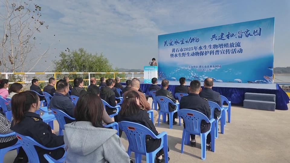 【新闻直通车】共护一江碧水 千万尾小鱼游进母亲河