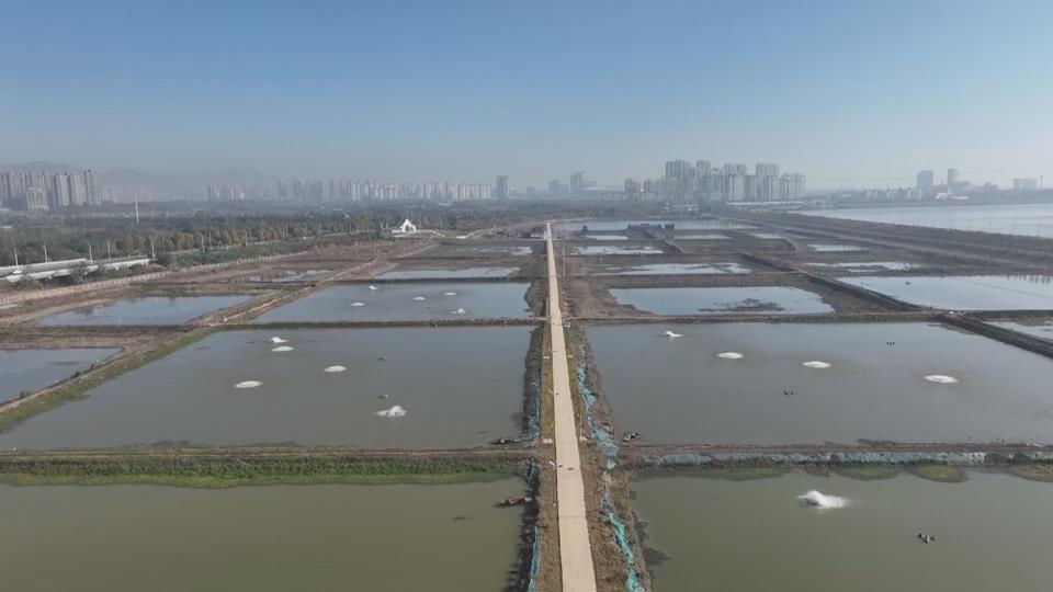 【新聞直通車】愛上這一口湖鮮·桃花鱖魚 | 現(xiàn)撈現(xiàn)做！解鎖古詩里的美味