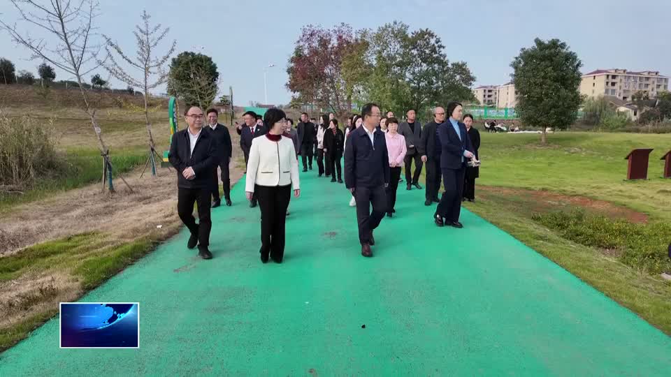 守护“生态绿”温暖“少年心” 人大代表点赞黄石检查履职担当