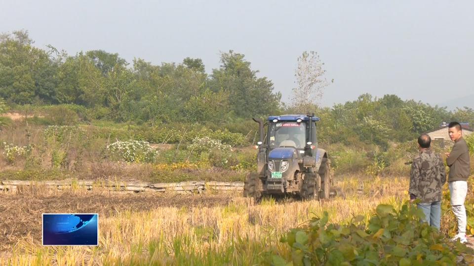 在希望的田野上 | 大箕铺镇：人机协作 油菜秋播正当时