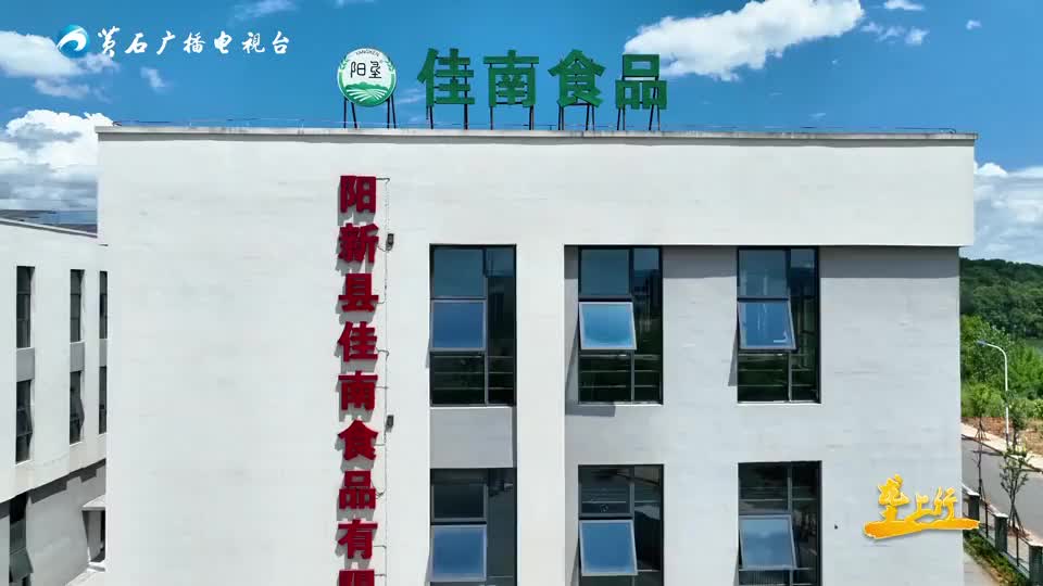 小面條撬起大產(chǎn)業(yè)