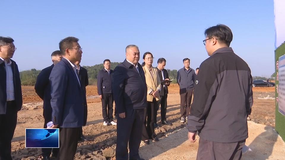 张文彤赴阳新调研乡村振兴森林防火等工作