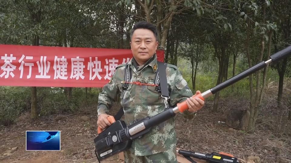 在希望的田野上 | 精准震动不伤花苞 阳新推广油茶采收“黑科技”