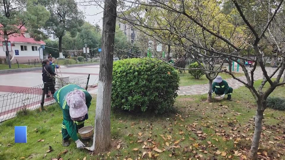 【新闻直通车】树木穿“白衣” 防虫又保暖