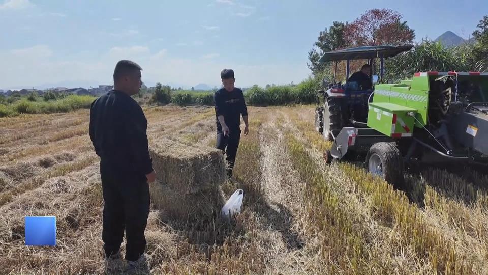 【新闻直通车】大冶茗山：粉碎养田 打捆换钱 “秸”尽所能惠农家