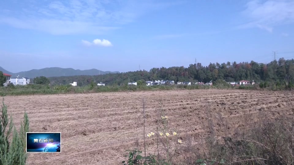 在希望的田野上 | 殷祖镇：机械化助力 万亩油菜播种进入尾声