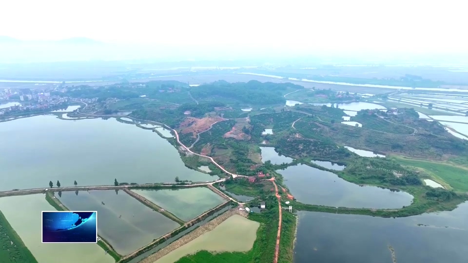 在希望的田野上 | “田保姆”当“管家” 农民种粮更省心