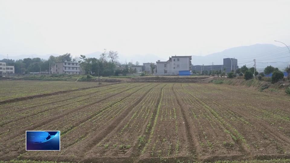 宣传阐释习近平新时代中国特色社会主义思想 | 阳新县白沙镇巢门村： 激活集体经济“一池春水” 为乡村振兴注入新活力