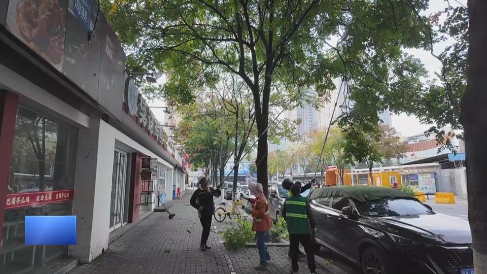 【新闻直通车】巧手剪枯枝 “减负”迎寒冬