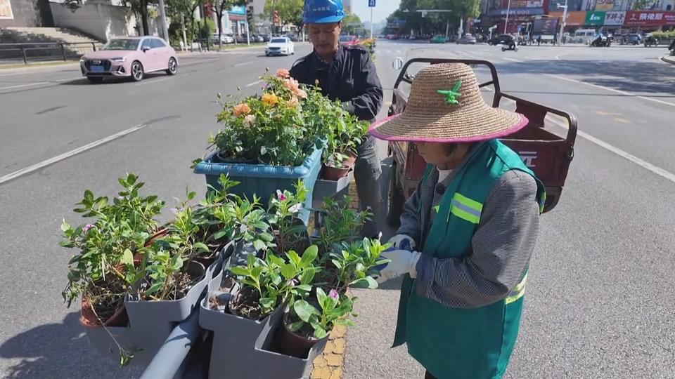【新闻直通车】延续美丽 下陆城管给5000多盆护栏花卉“安新家”