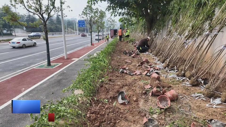 【新闻直通车】拆违布绿 大泉路将变身景观廊道
