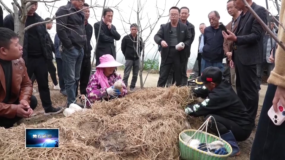 宣传阐释习近平新时代中国特色社会主义思想 | 市农业农村局：一亩地消耗三吨稻草 “林下种菇”让秸秆变废为宝