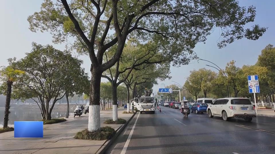 【新闻直通车】2025黄石半程马拉松 | 赛道剪枝 “亮”出最美湖光山色