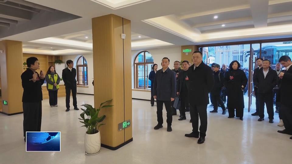 縣市區(qū)兩會進行時 | 下陸區(qū)：代表委員一線視察 看變化謀發(fā)展