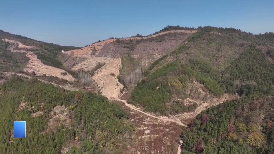 【新闻直通车】护林员巡山+无人机巡空 阳新木港织牢立体防火网