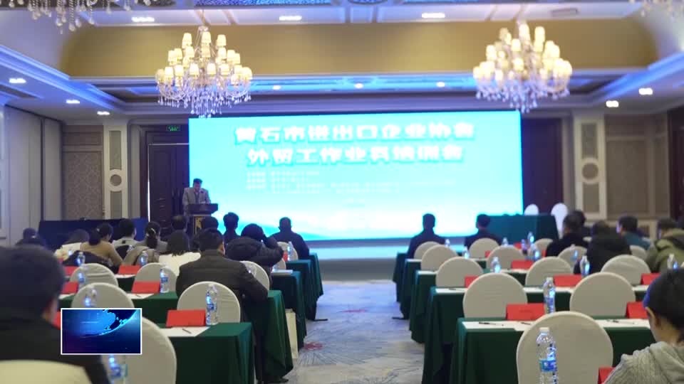 市进出口企业协会举办外贸培训会 助企“扬帆出海”
