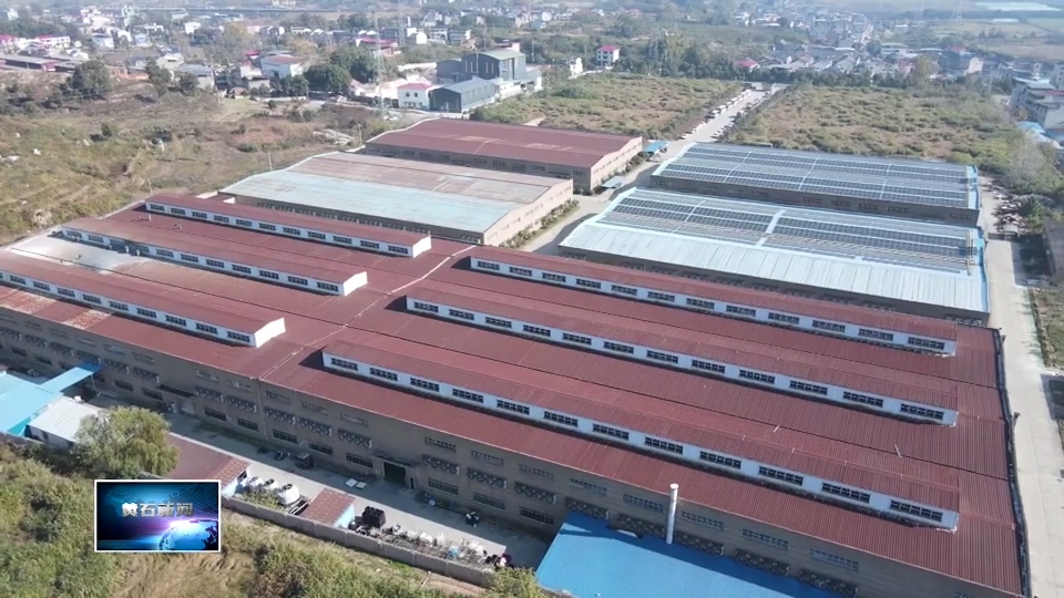 奋战四季度 决胜“十四五” | 希禾童车受多国青睐 出口额突破2000万美元