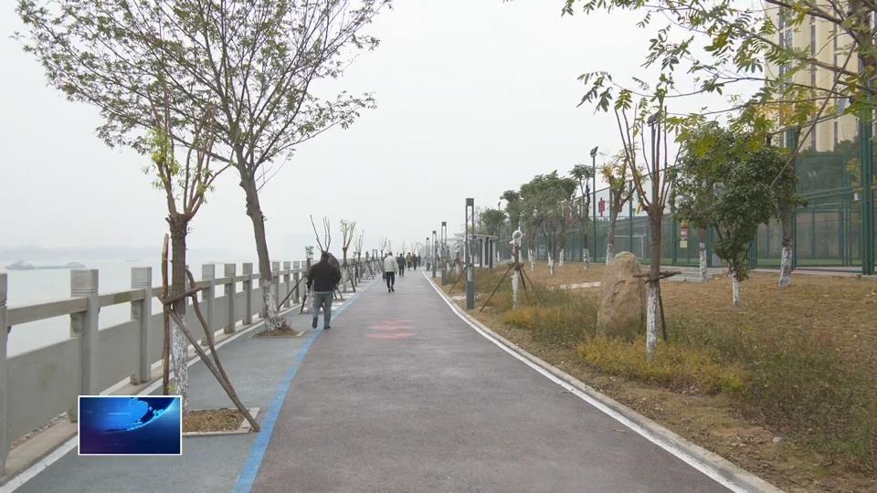 办好十件实事 增进民生福祉 | 邂逅一路繁花 拥抱满城绿意