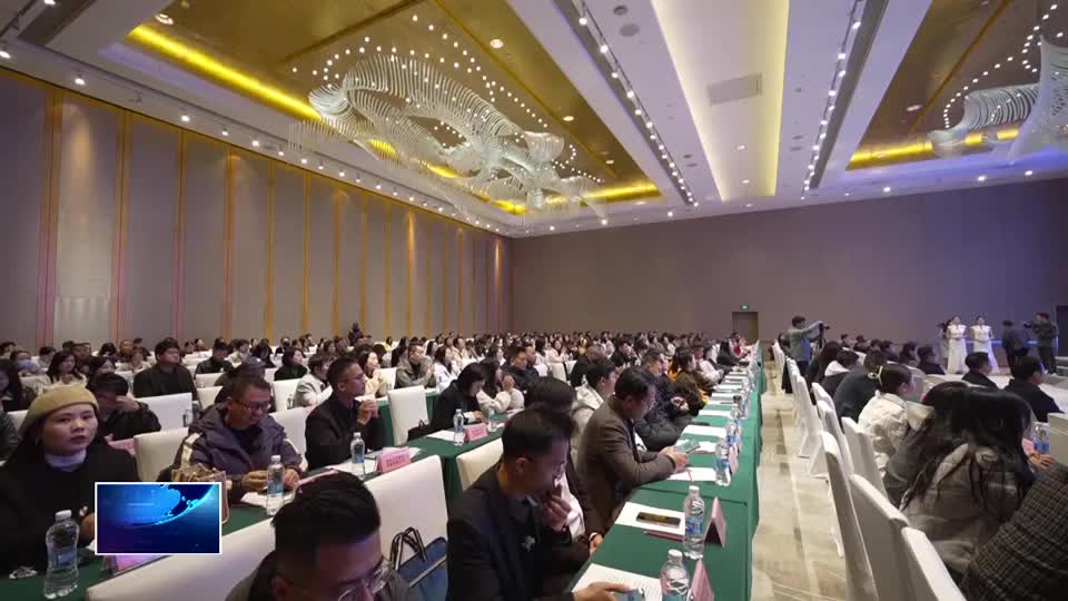 合力发展电商 激发经济活力