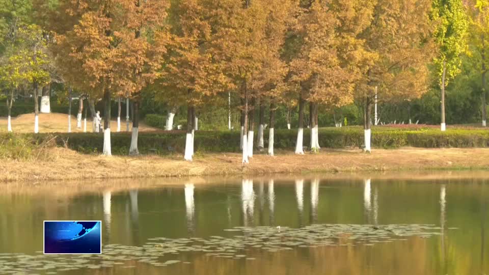 冬至到 冷空气开始“营业”