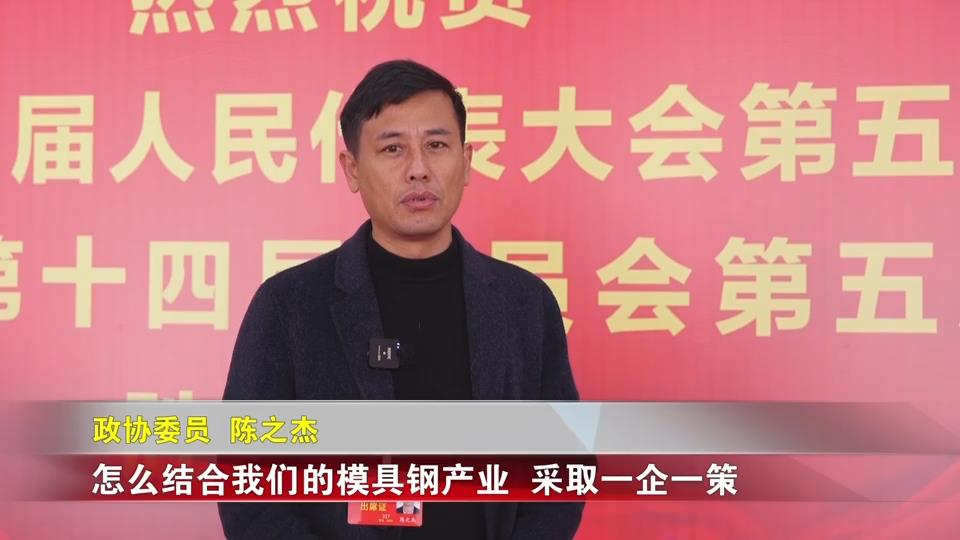 【新闻直通车】两会零距离 | 凝聚共识 政协委员献良策