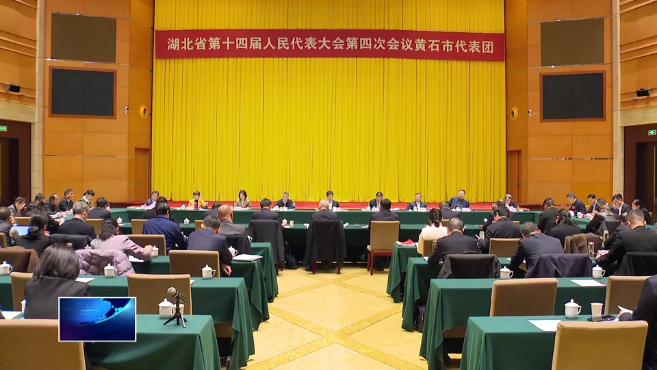 黄石代表团继续审议省政府工作报告