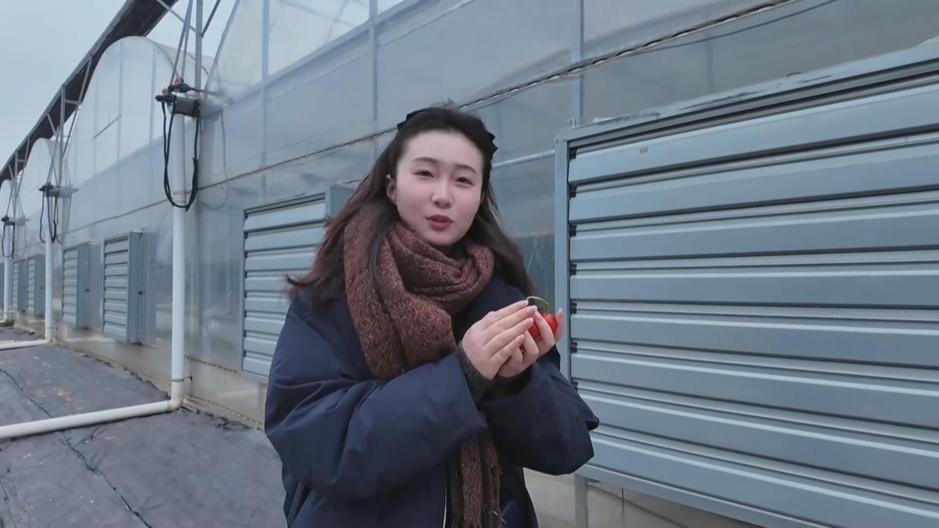 【新闻直通车】迎寒而上 | 大棚“穿衣” 鸡舍恒温 农技护航冬耕冬养