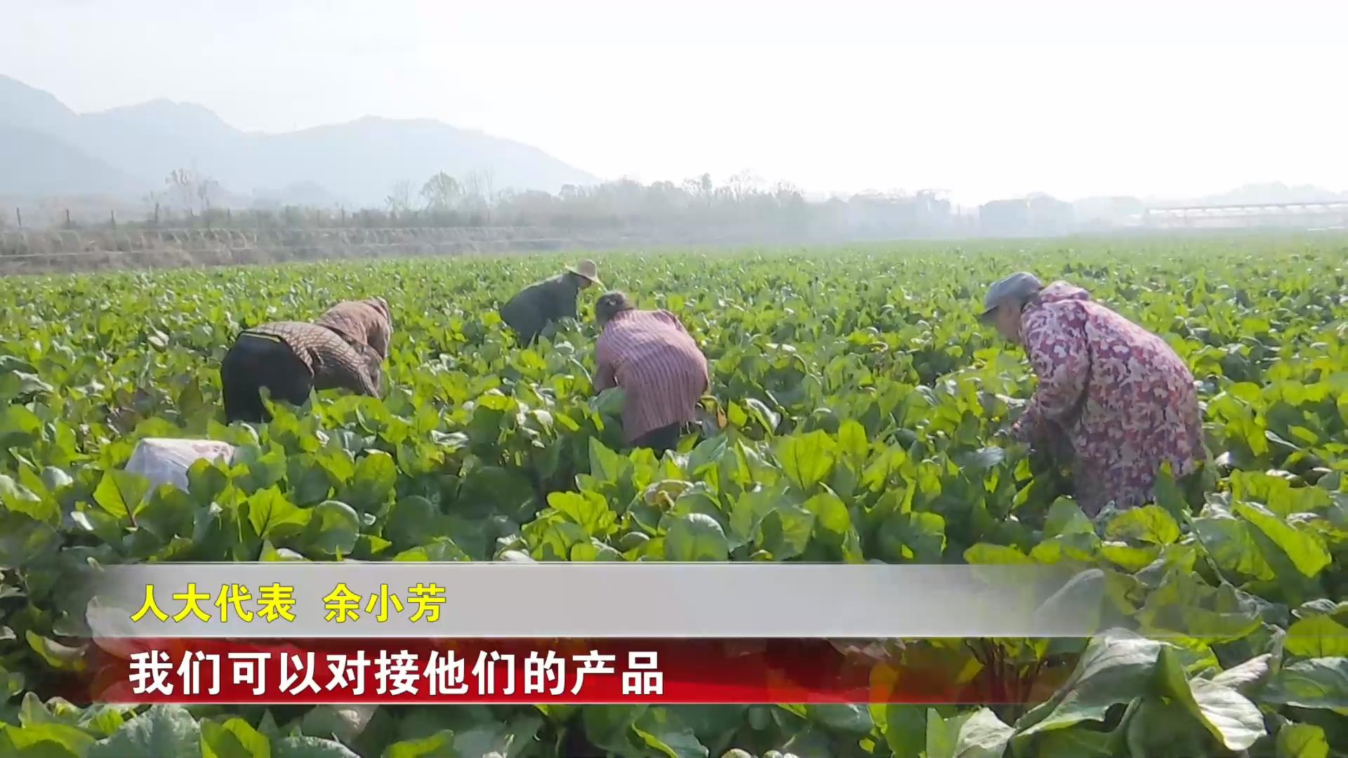 【新闻直通车】两会直播间 | 人大代表余小芳：校园餐应做到安全、营养、透明