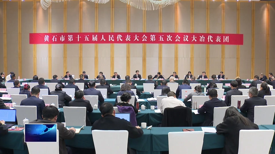 携民意 话发展 人大代表分团审议政府工作报告等报告