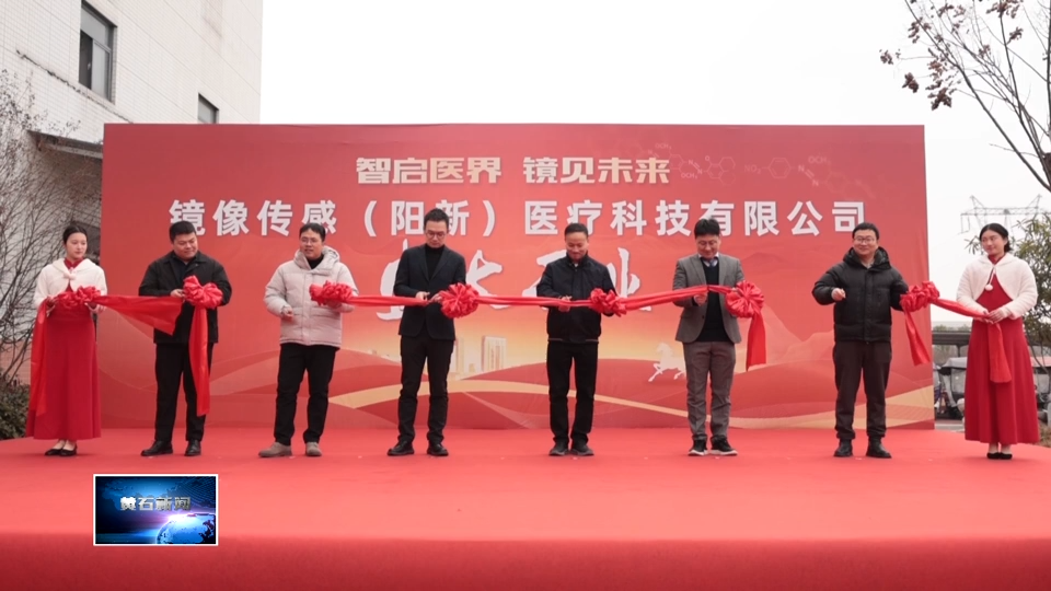 聚焦聚力增长极 奋力夺取开门红 | 阳新县：告别扎手指！“黄石造”血糖检测仪下线