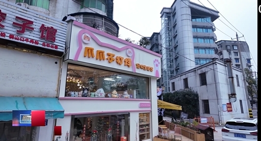 【新闻直通车】年味黄石• 奉献 | 宠物养护师：专业守护“毛孩” “团宠”美美过大年