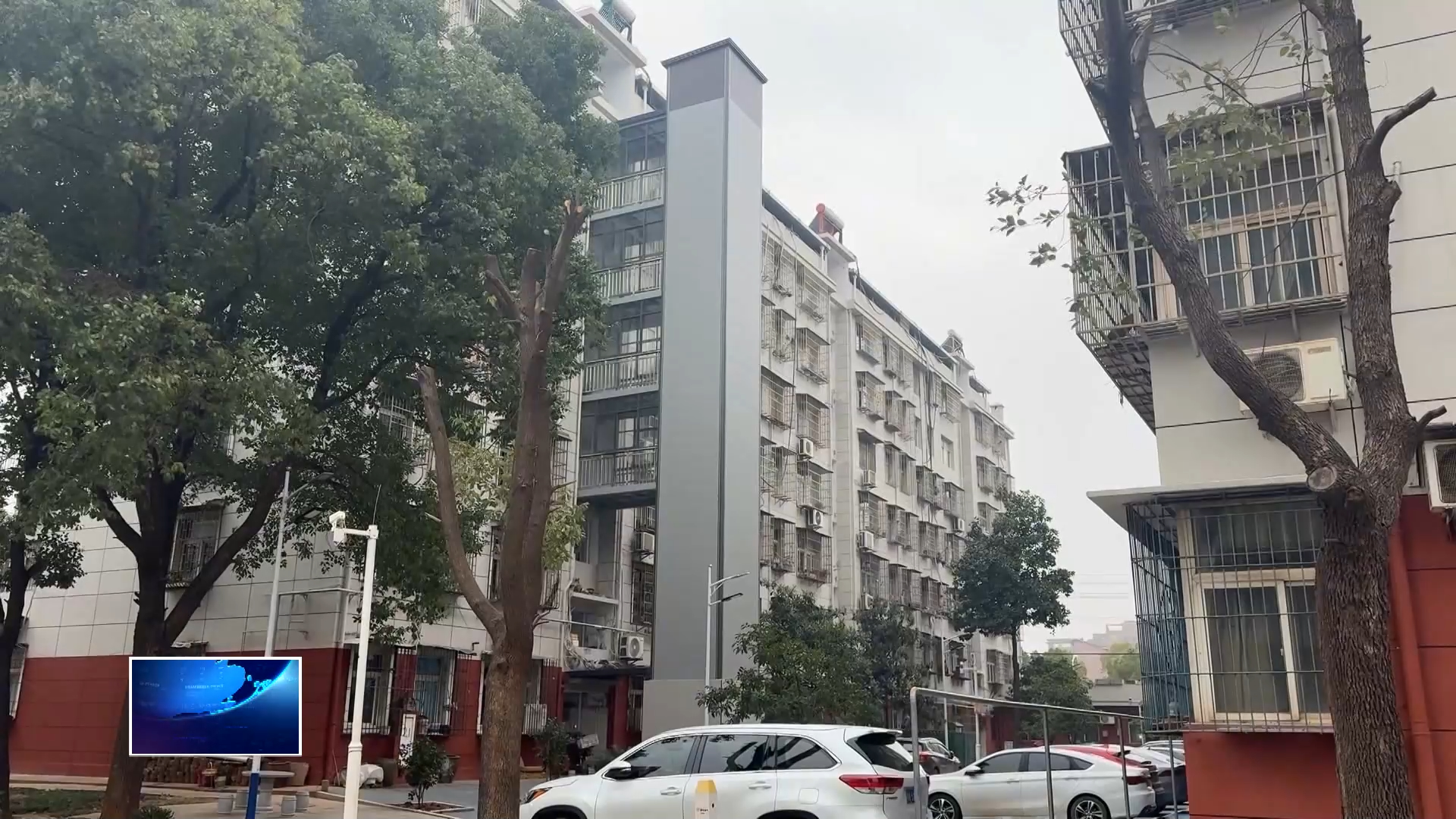 游子返乡 喜看家乡新变化