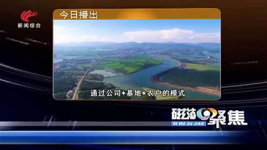 【磁湖聚焦】沃野热潮涌 乡村促振兴