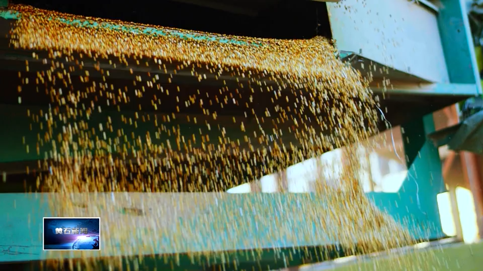 增强质量意识 推进高质量发展 | 市市场监管局：守护创新“金钥匙” 专利强企赋能产业升级