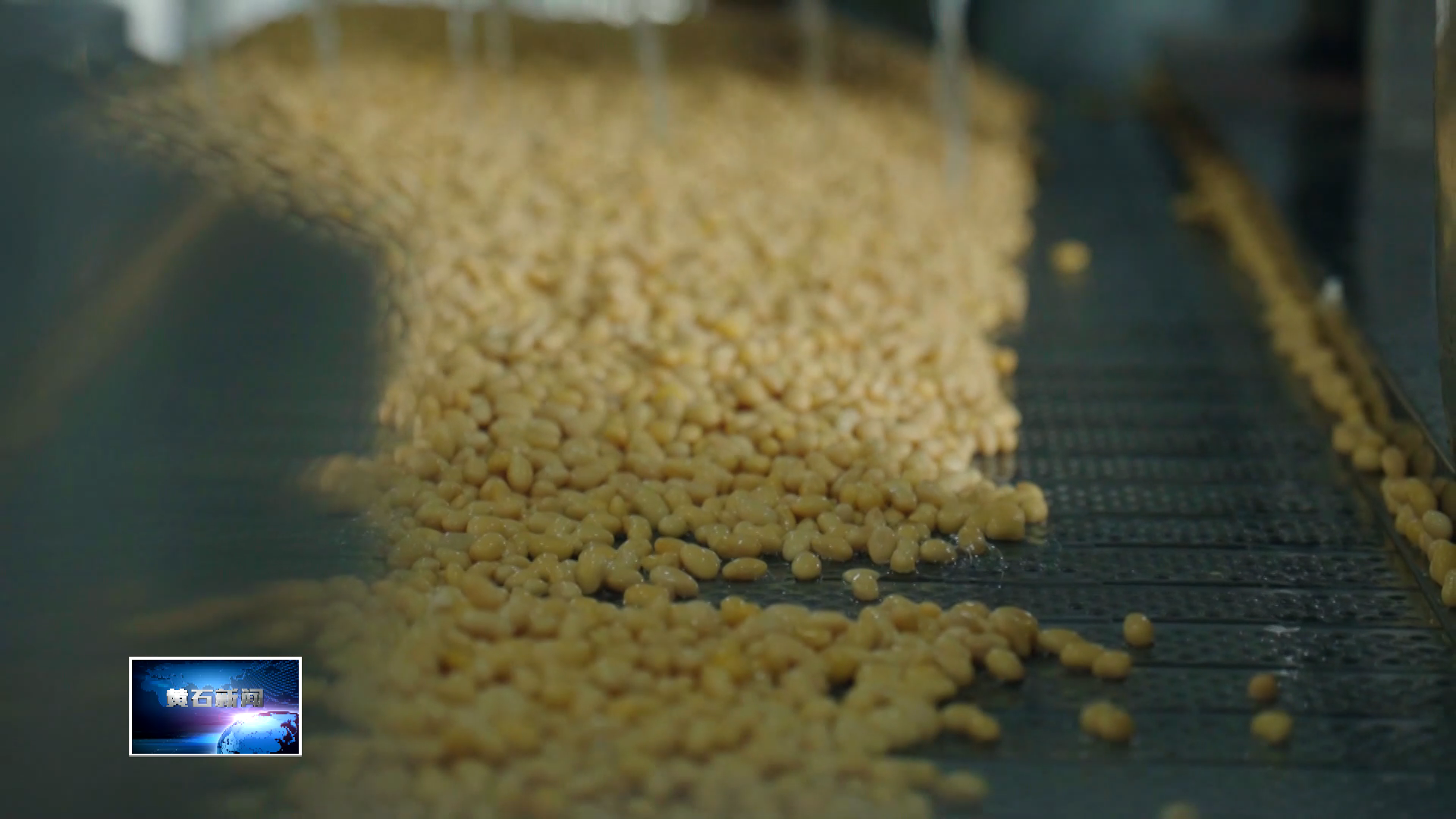 奋进“十五五” 实干开新局 | 湖北臻味永和食品公司：新春生产忙 订单节节高