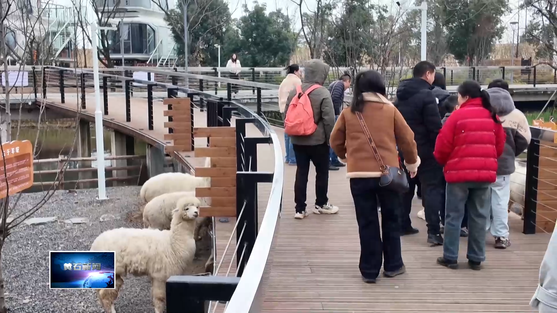 玩转黄石 | 奥体公园梦享湾：与萌宠互动 享静谧时光