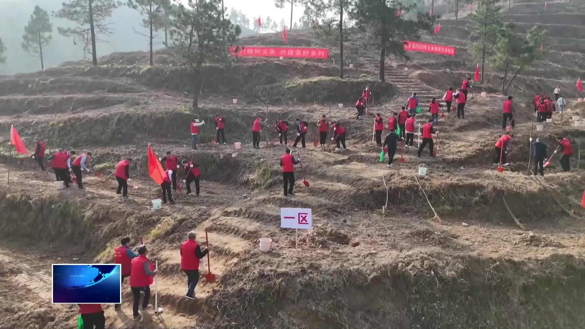 共赴春光 绿满黄石 | 大冶市：践行绿色发展理念 共建美好宜居家园