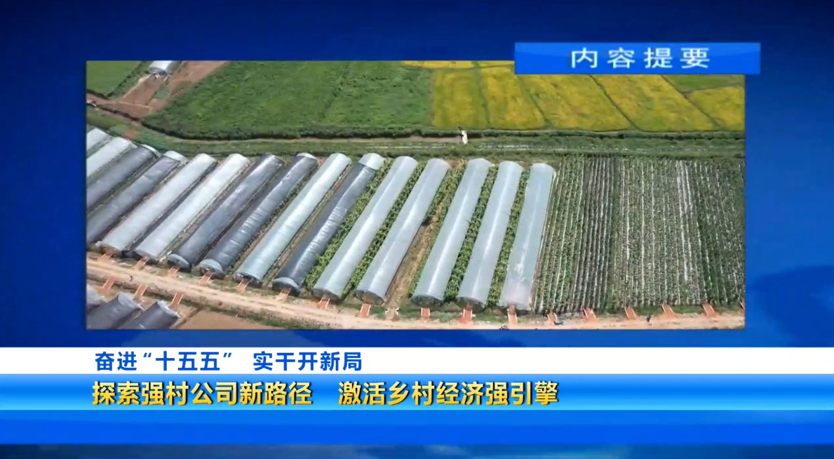 20260322黄石新闻