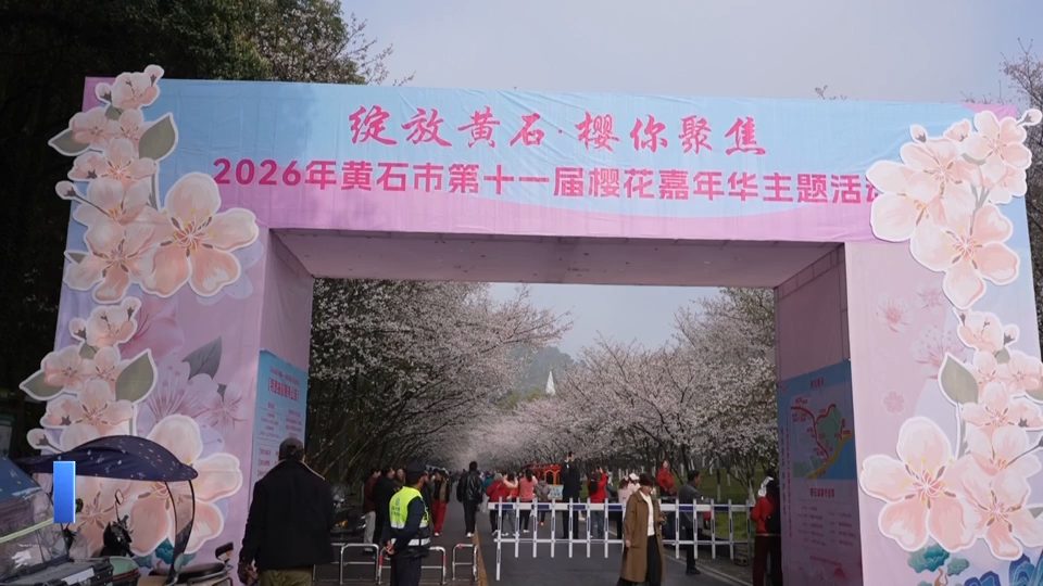 【新闻直通车】“樱”你绽放 | 樱花嘉年华启幕 邀您共赴春日之约