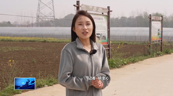 宣传阐释习近平新时代中国特色社会主义思想 | 开发区·铁山区大王镇：土特产变“金钥匙” “多园融合”产业兴