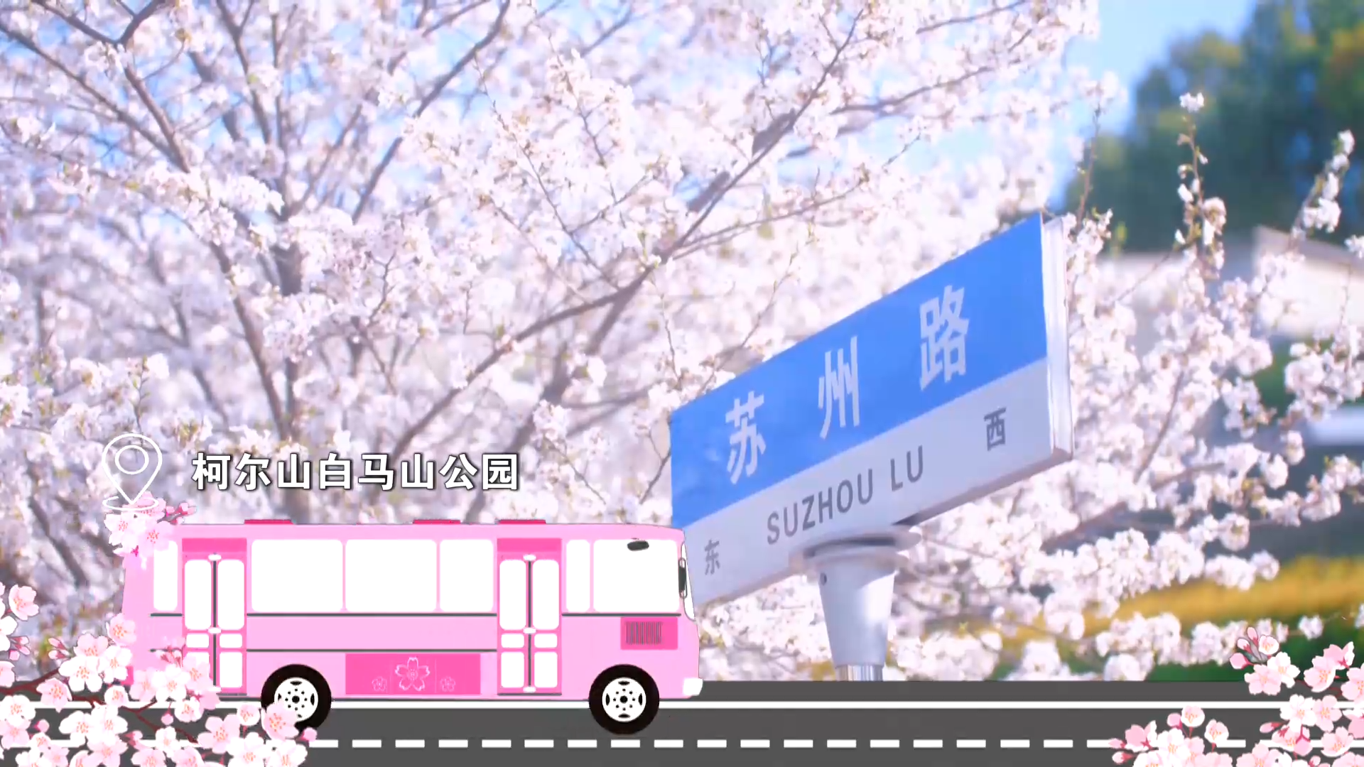 【新闻直通车】春日里的花花世界 | 上车!乘坐“开往春天的公交”赏花去