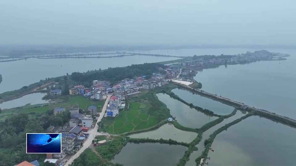 奋进“十五五” 实干开新局 | 阳新县：15.6万亩湖泊统一管护 大水面“养”出大效益