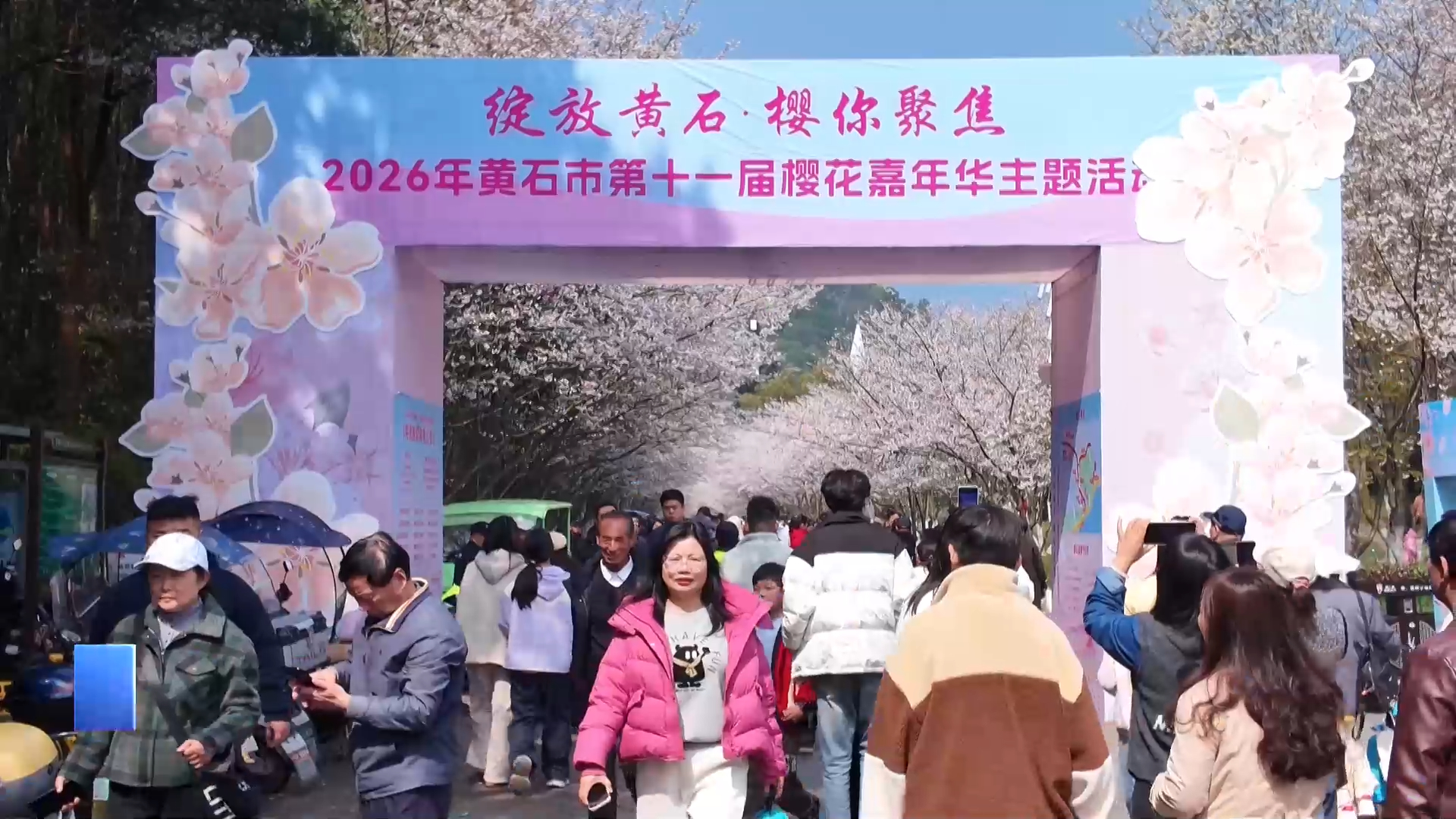 【新闻直通车】奖金天天发！樱花树下领“春日好运”