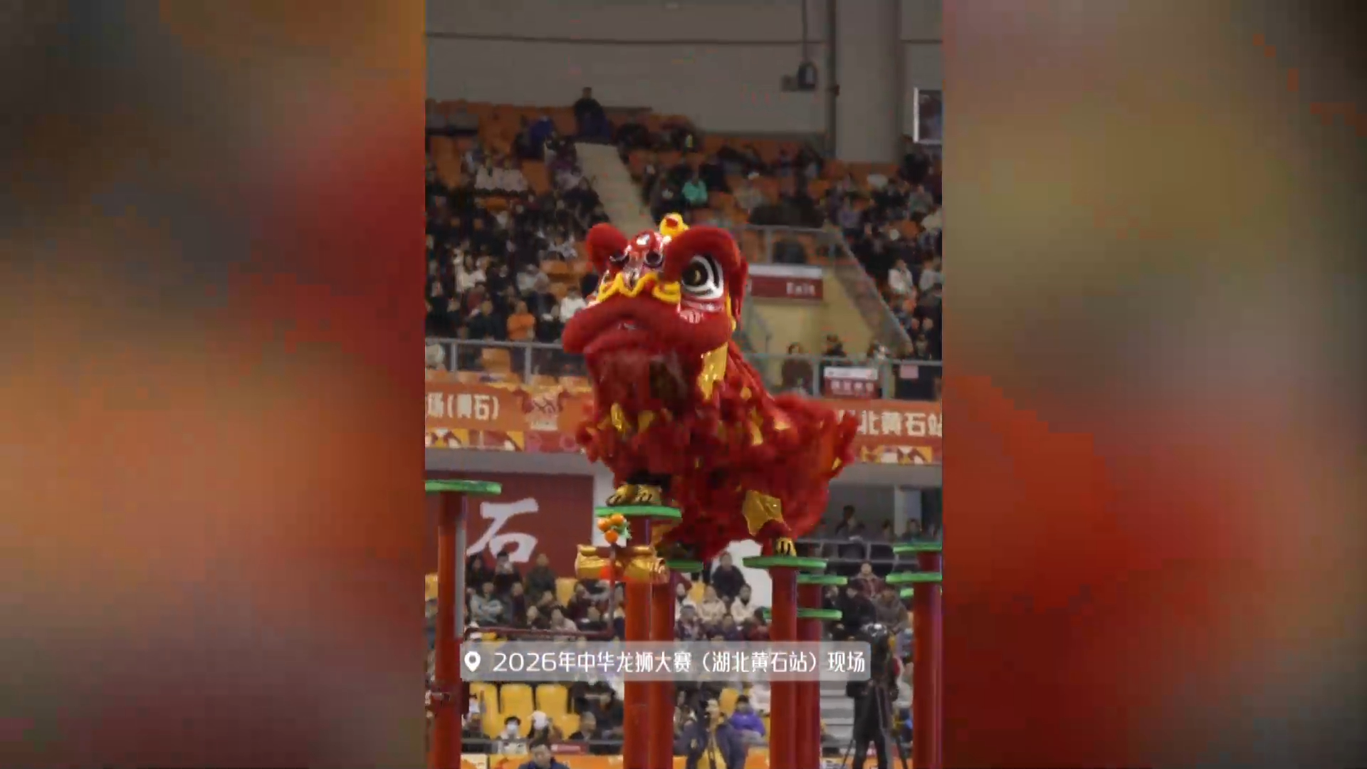 【新闻直通车】我和我的黄石③ | 追“狮”人