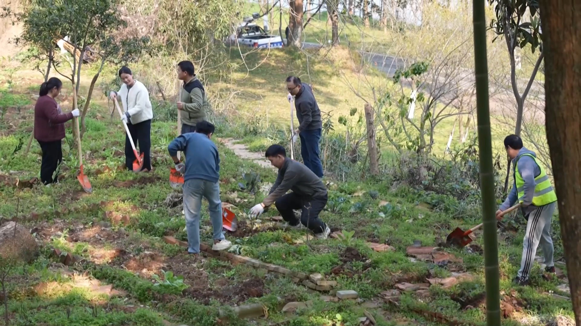 【新闻直通车】“植”此青绿 拥抱春天 | 昔日菜地如今果园 上百志愿者栽下千株果树