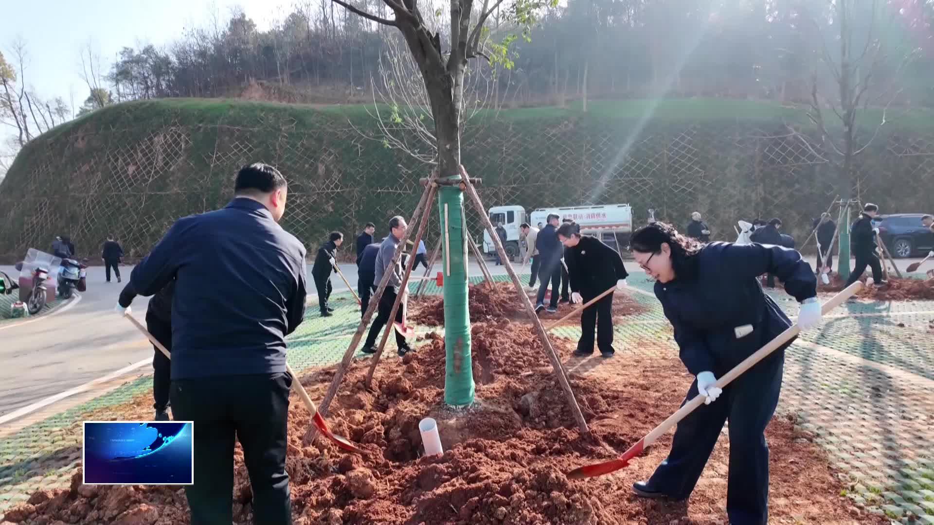 共赴春光 绿满黄石 | 黄石港区：植绿添彩 绘就春景