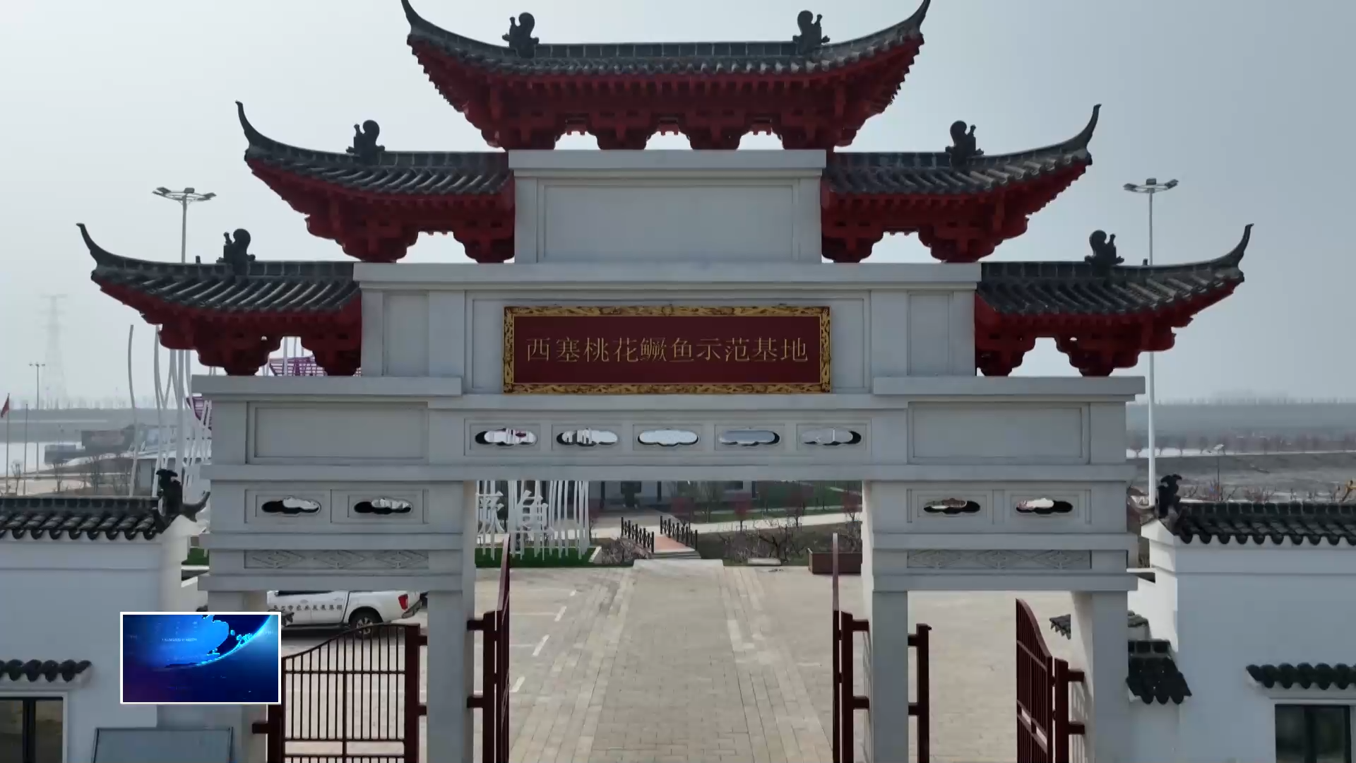 【新闻直通车】从“一首诗”到“一条链” 西塞桃花鳜鱼“游”出产业新价值